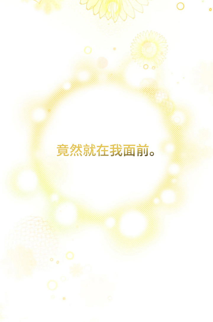 他的聚光灯漫画-图28