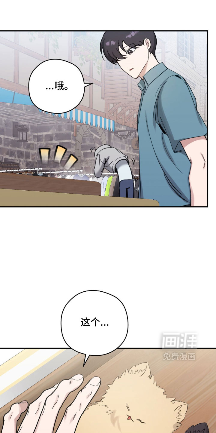 他的聚光灯漫画-图30