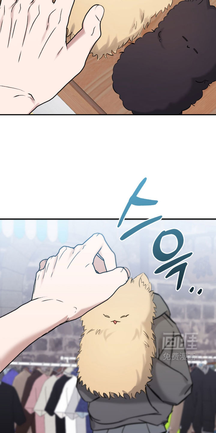 他的聚光灯漫画-图31