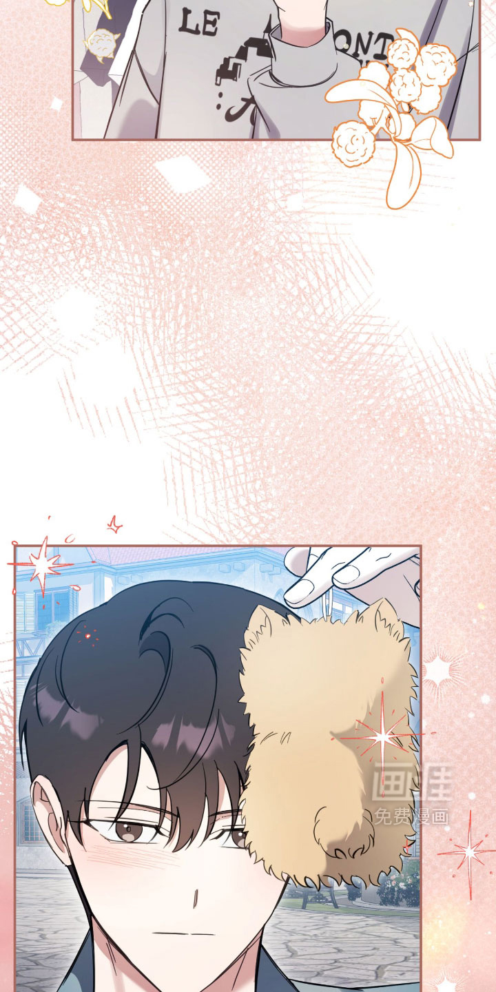 他的聚光灯漫画-图33