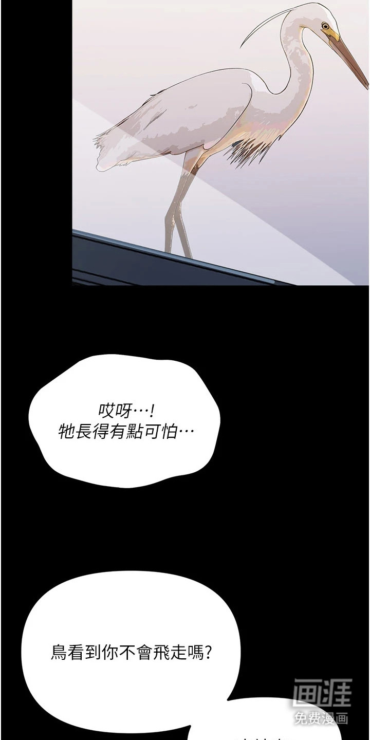童颜牢笼漫画-图21