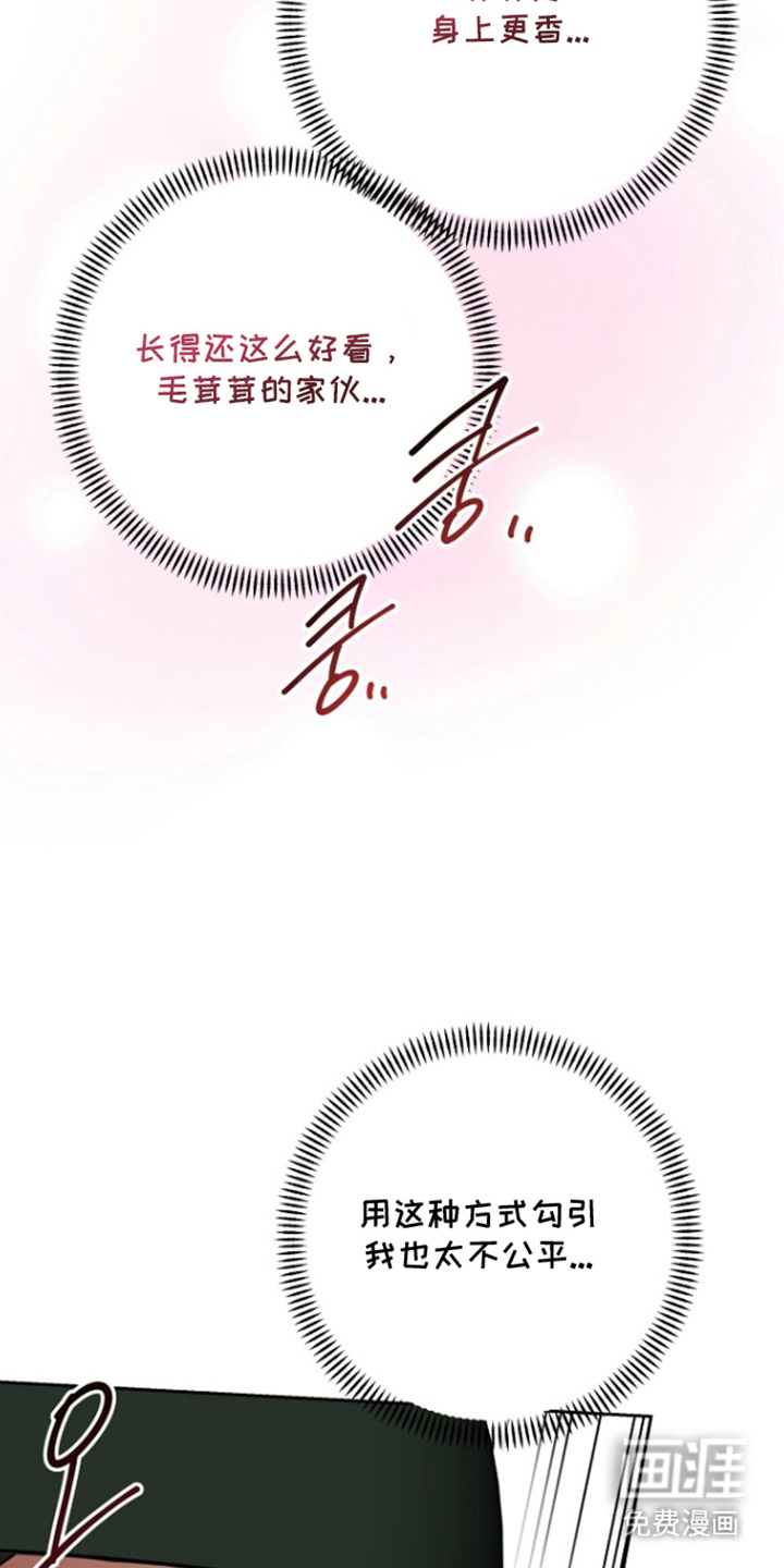 太阳的味道漫画-图9