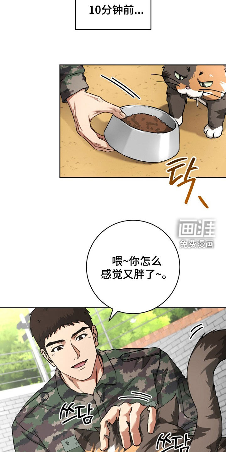 太阳的味道漫画-图4