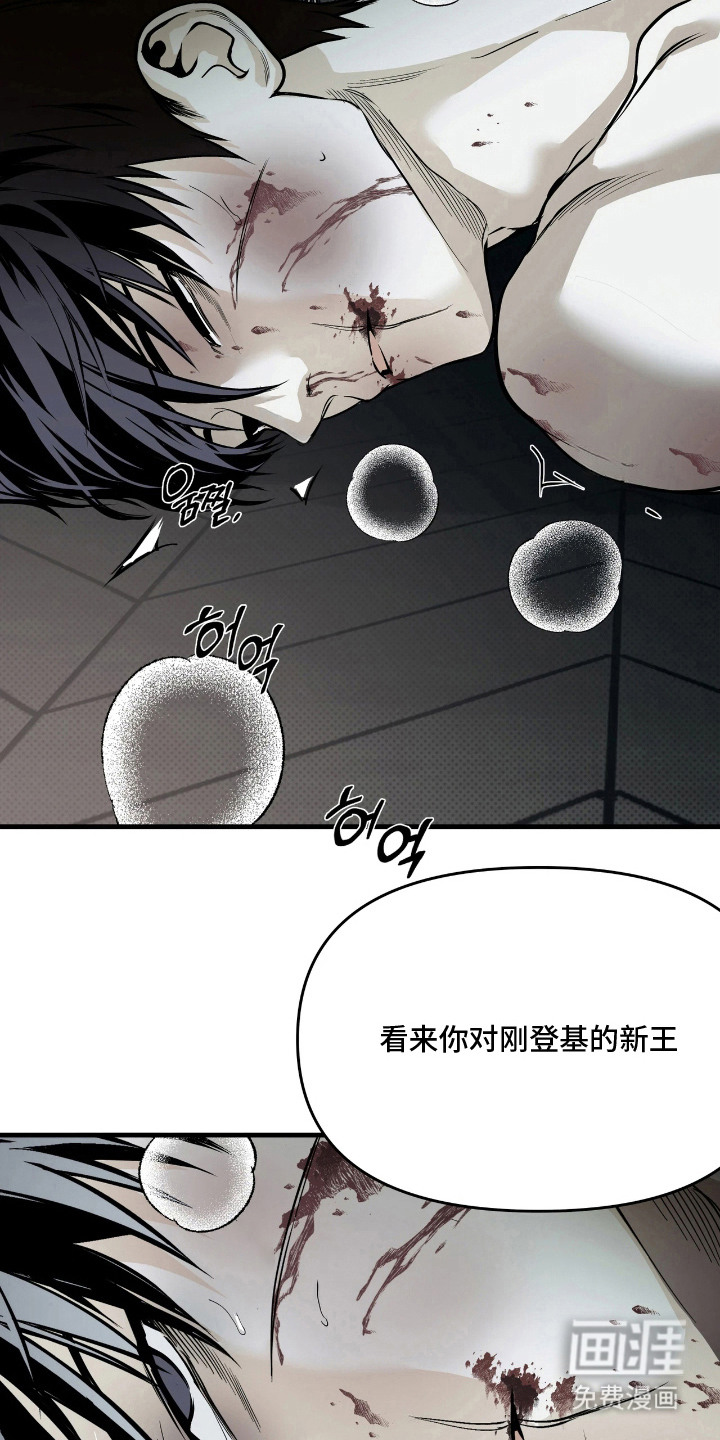 天平与剑漫画-图12