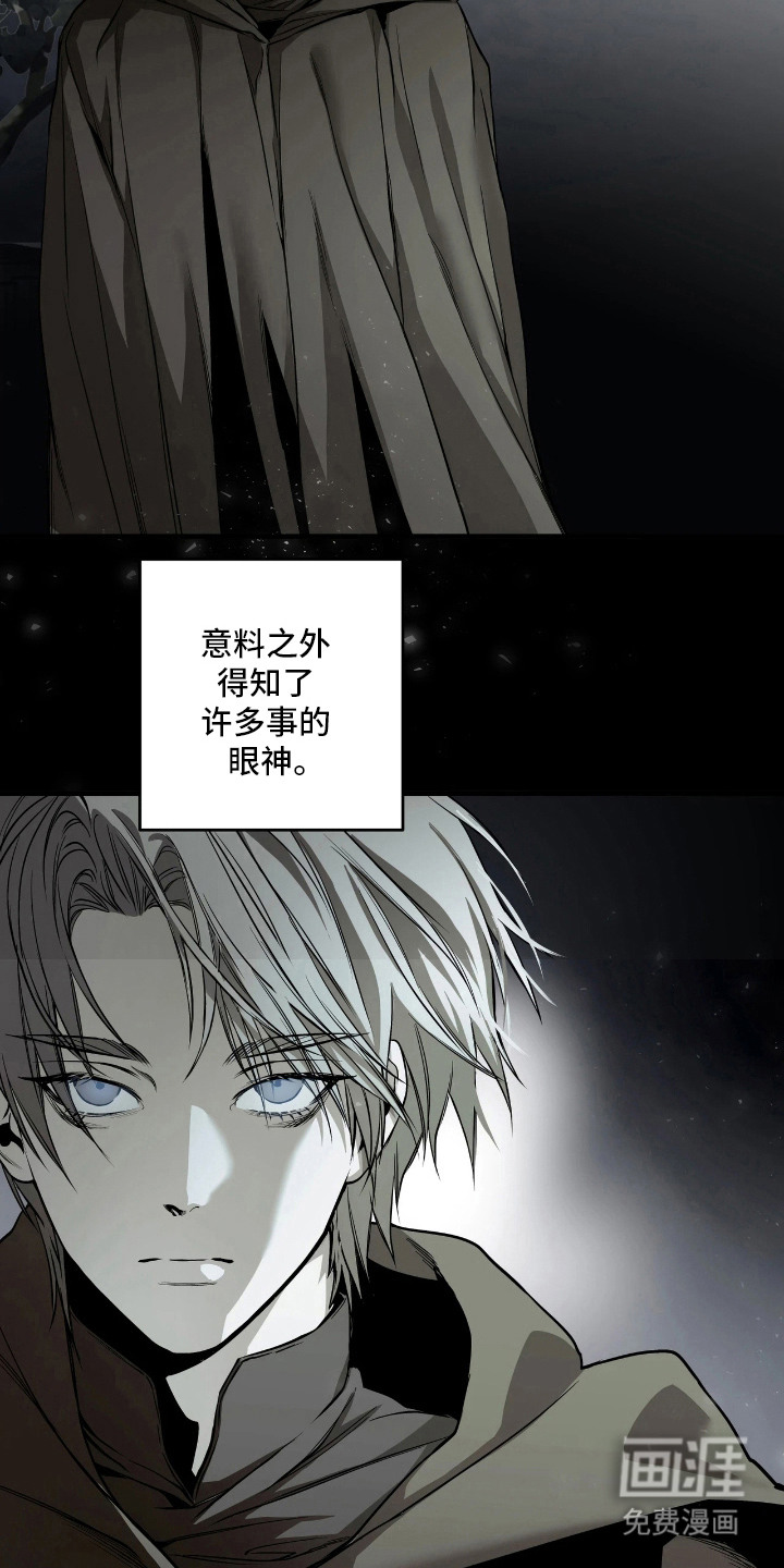 天平与剑漫画-图3