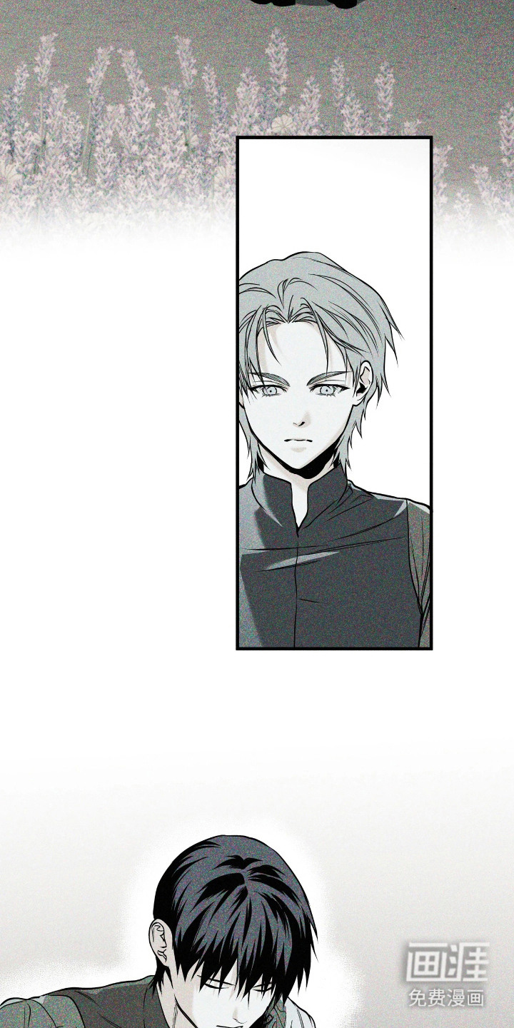天平与剑漫画-图19