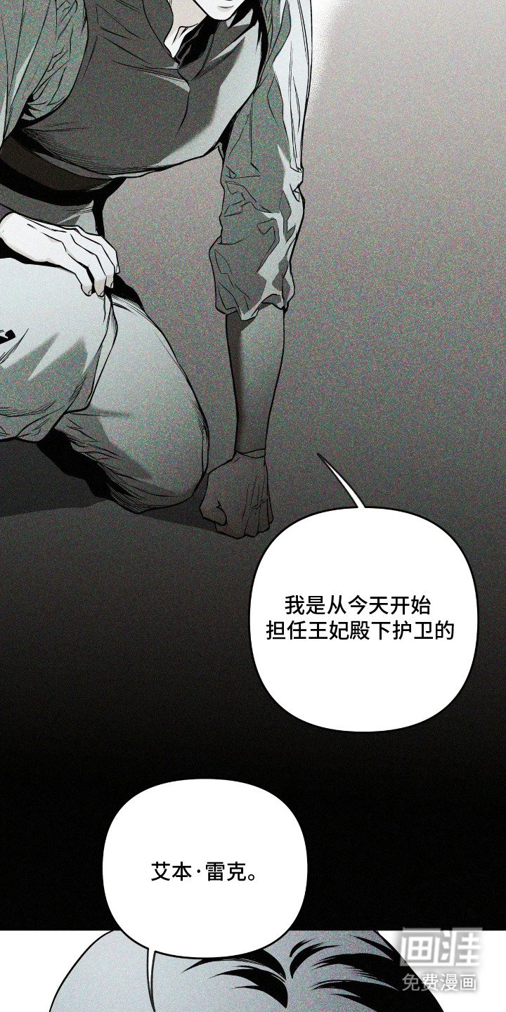 天平与剑漫画-图20