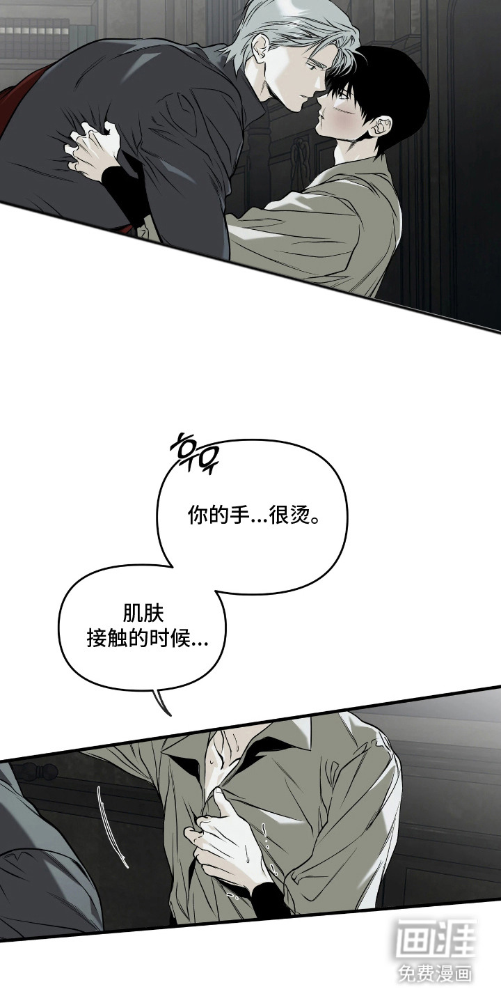 天平与剑漫画-图12