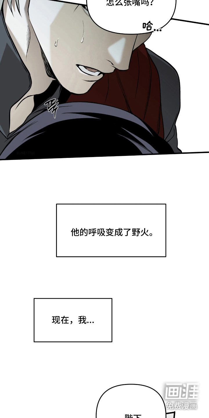 天平与剑漫画-图16