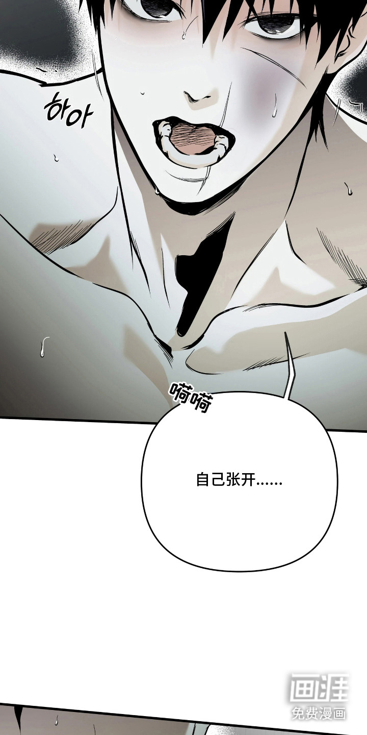 天平与剑漫画-图19