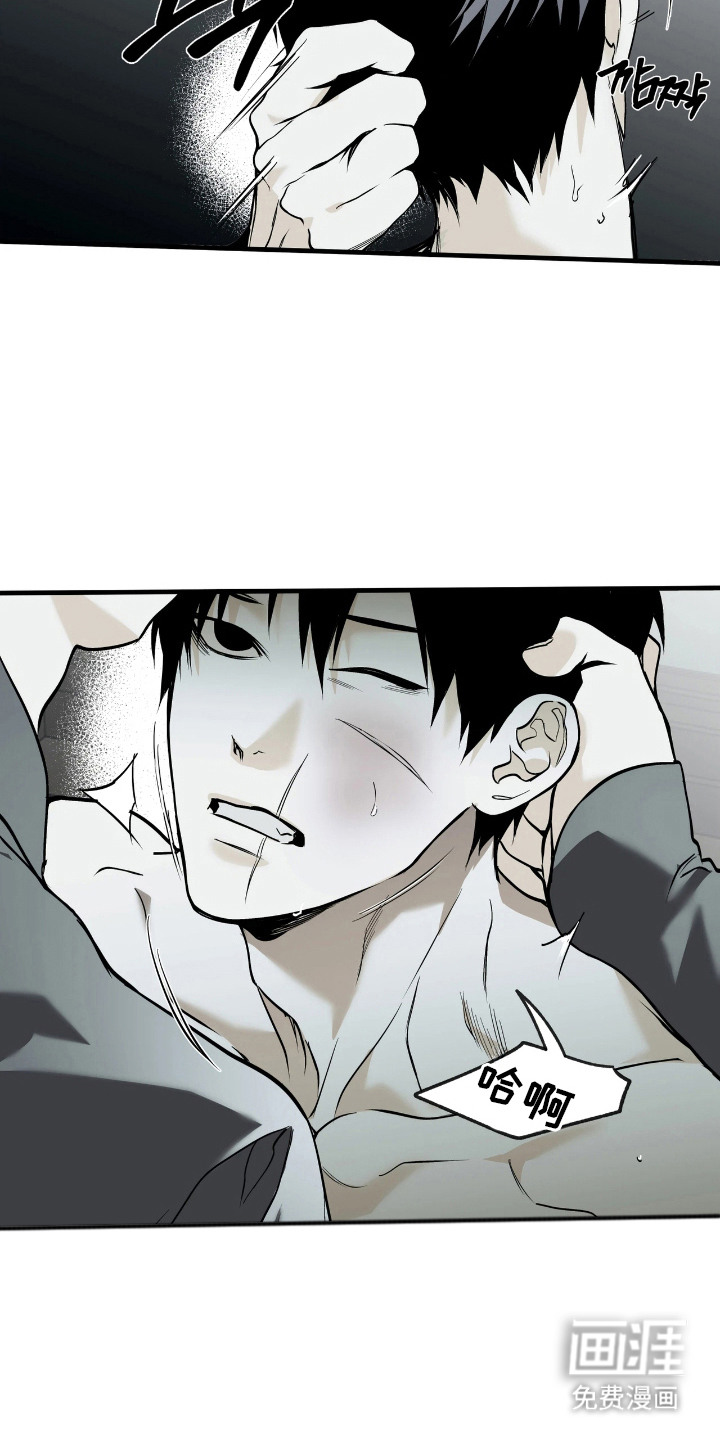 天平与剑漫画-图21