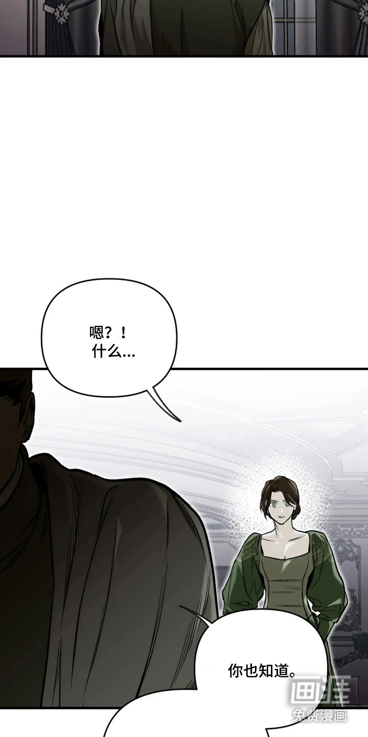 天平与剑漫画-图19