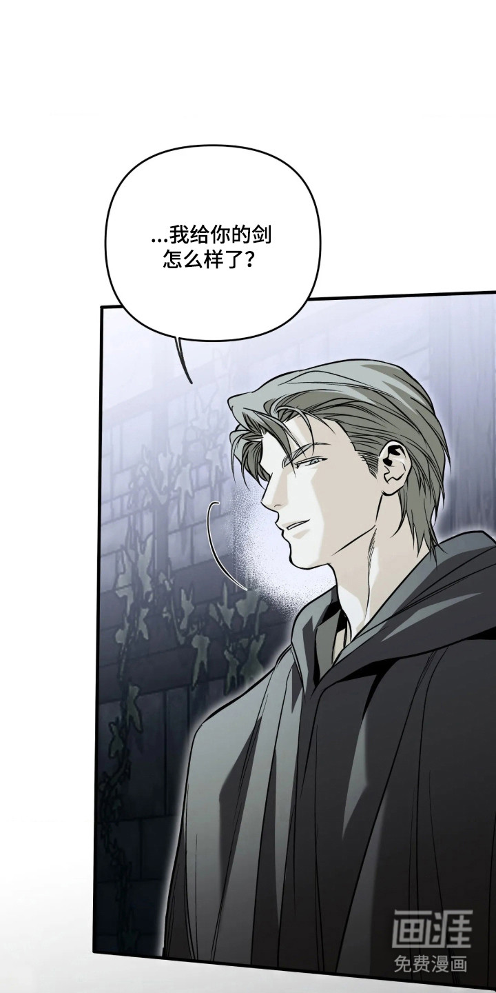 天平与剑漫画-图27