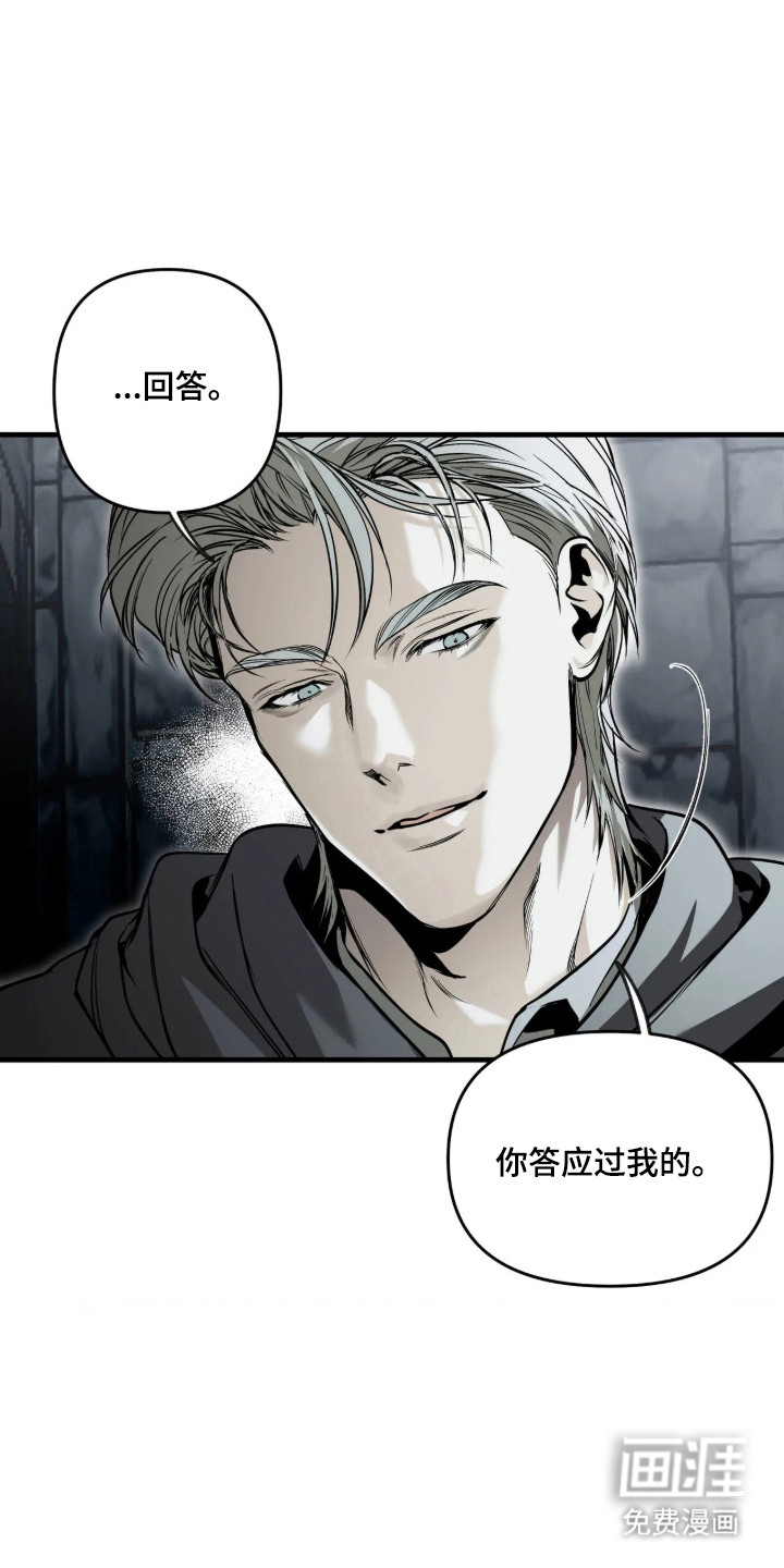 天平与剑漫画-图5