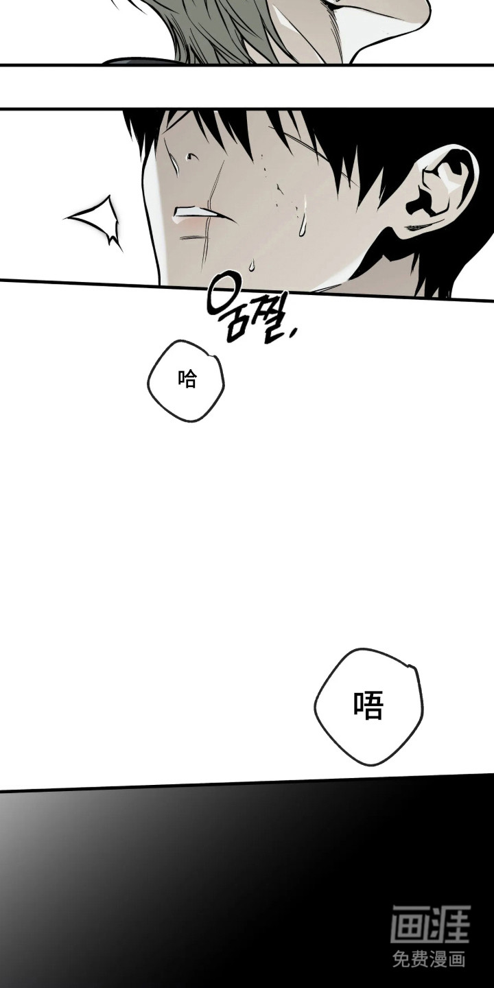 天平与剑漫画-图30