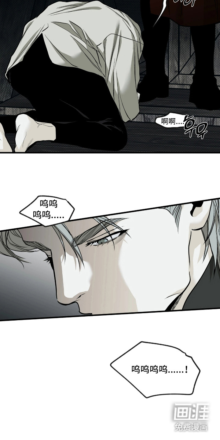 天平与剑漫画-图20