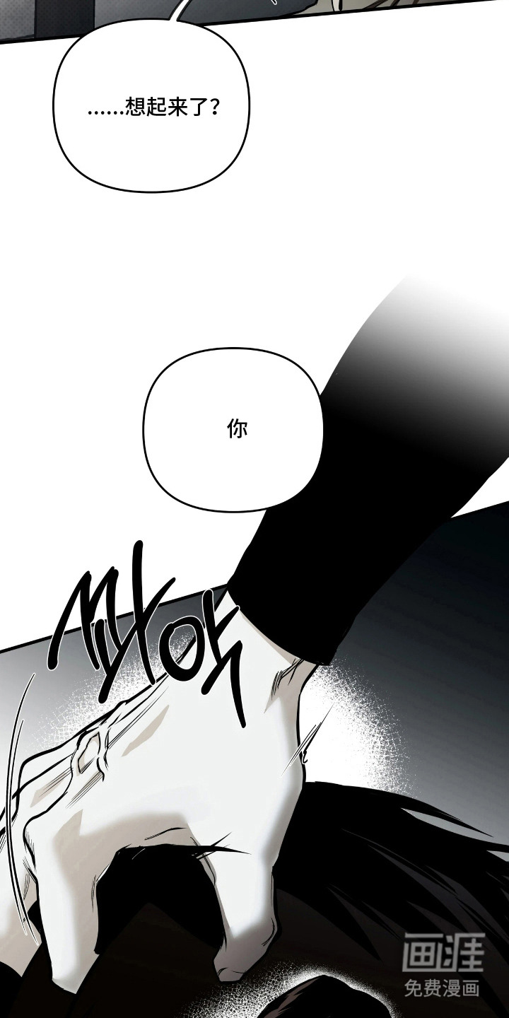 天平与剑漫画-图10