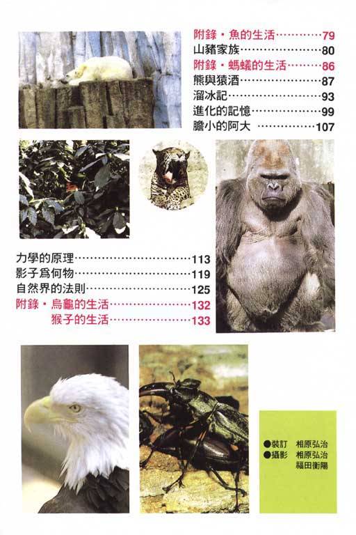 天才宝贝熊第3卷图