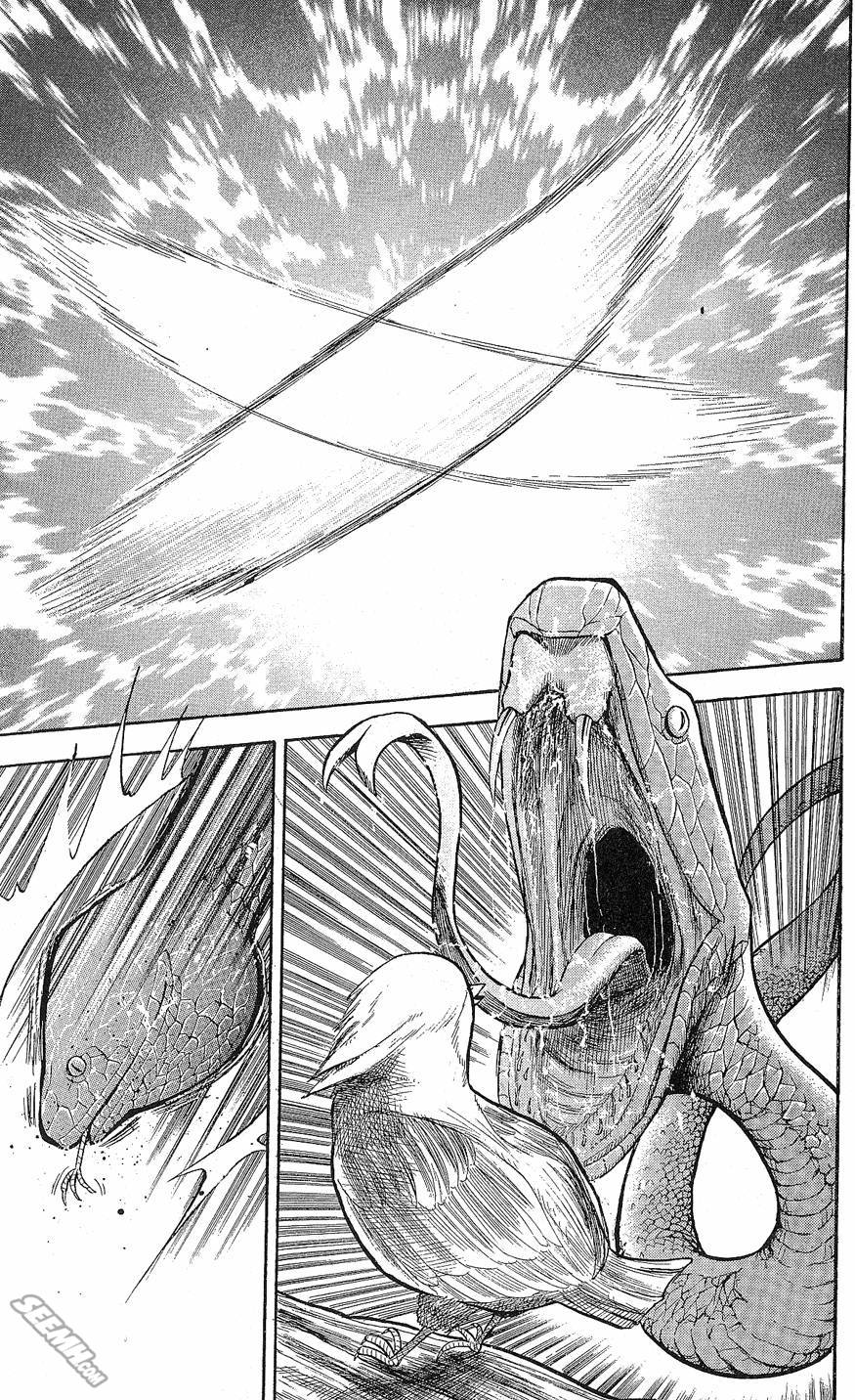 天才野球少年 第9卷 第17页