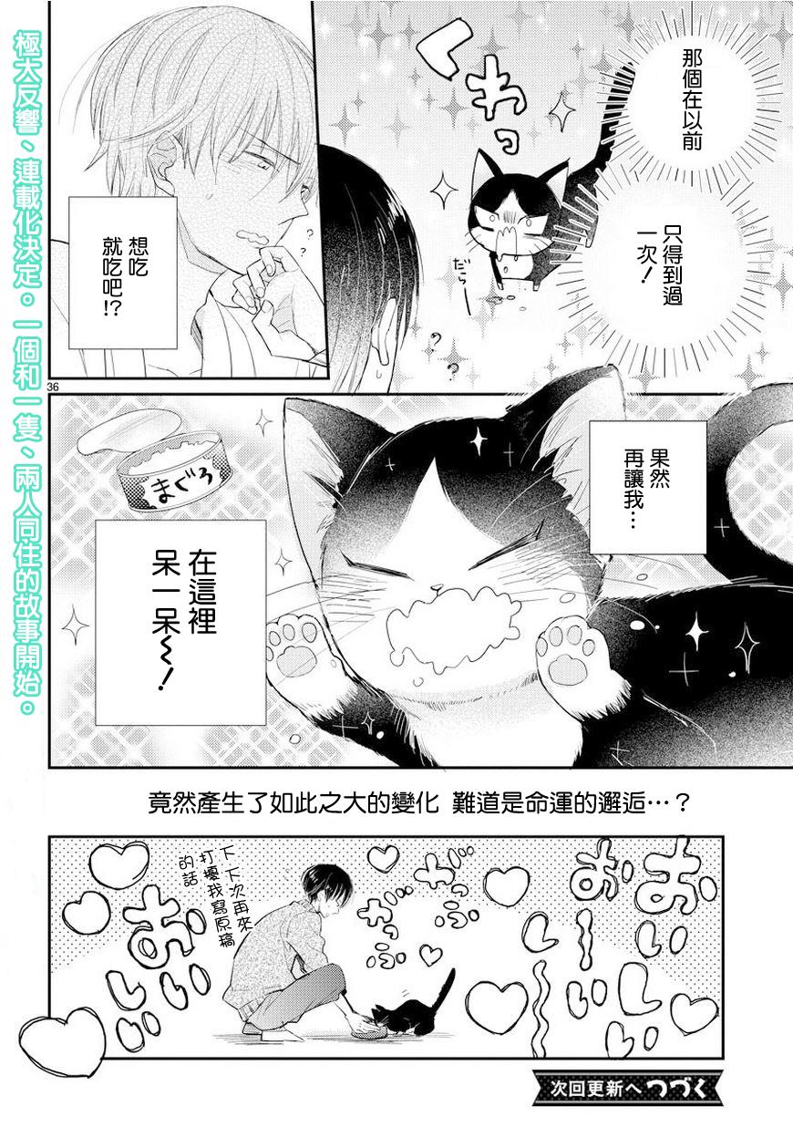 同居人时而在腿上、时而跑到脑袋上 第1话 第35页