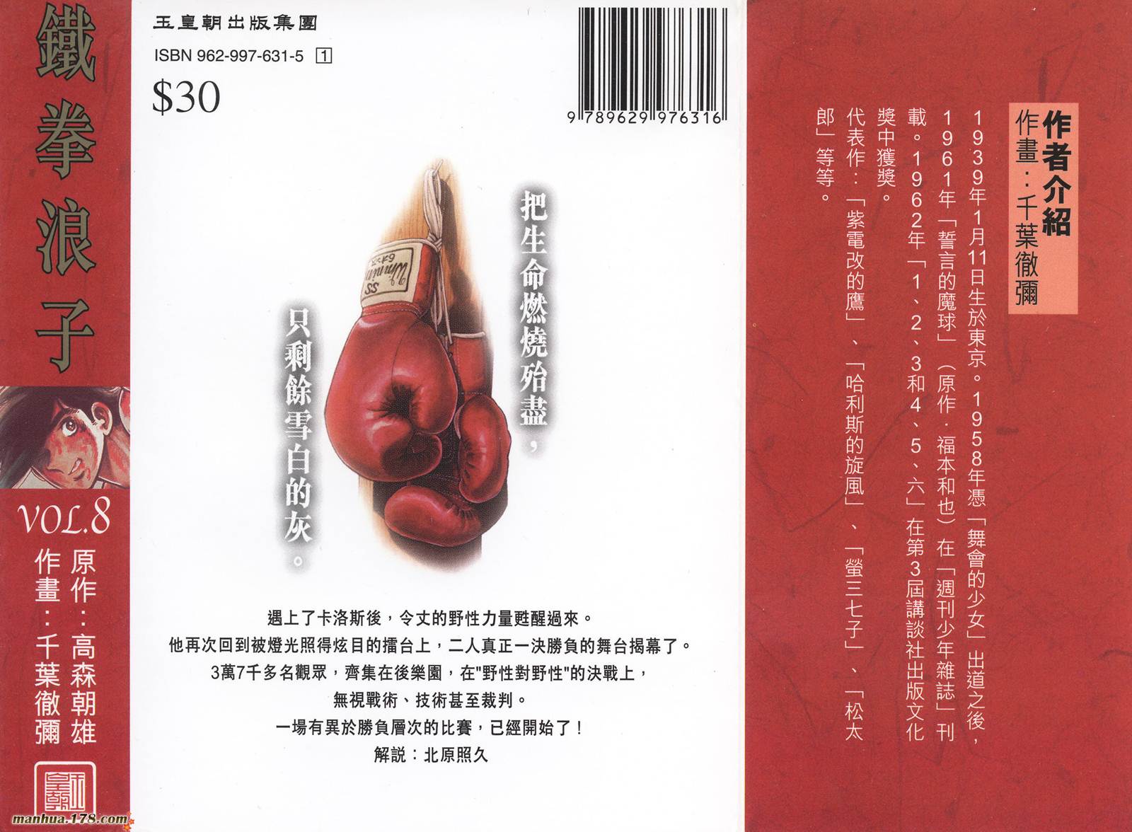 铁拳浪子 第8卷 第193页