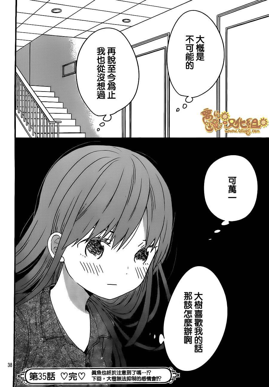 太阳之家第35话图