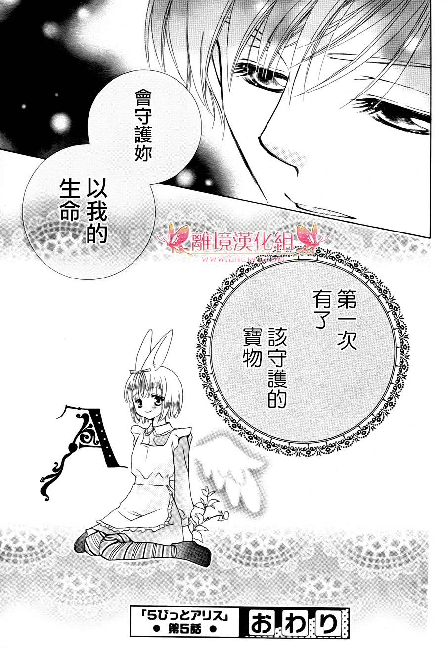 兔子爱丽丝第5话图