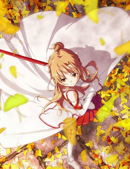 《刀剑神域》完美人妻 结城明日奈(亚丝娜)