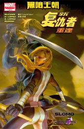 新复仇者:重逢