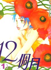 12個月