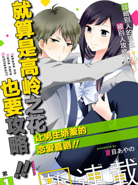 就算是高岭之花也要攻略!