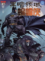 黑暗领域与蝙蝠侠封面海报