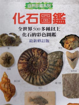 化石图鉴封面海报