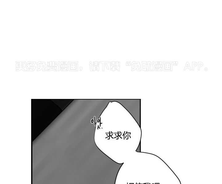 我被大佬圈养了第6话图