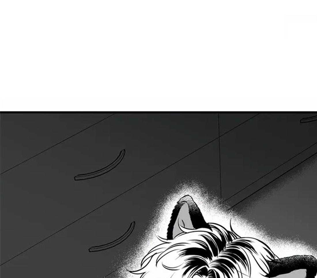 我的主播男友（全集&番外） 第145话 第11页