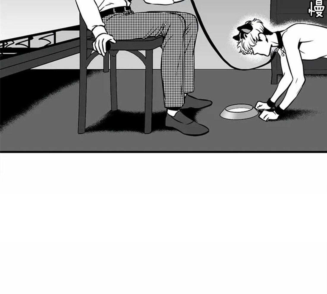 我的主播男友（全集&番外） 第145话 第22页