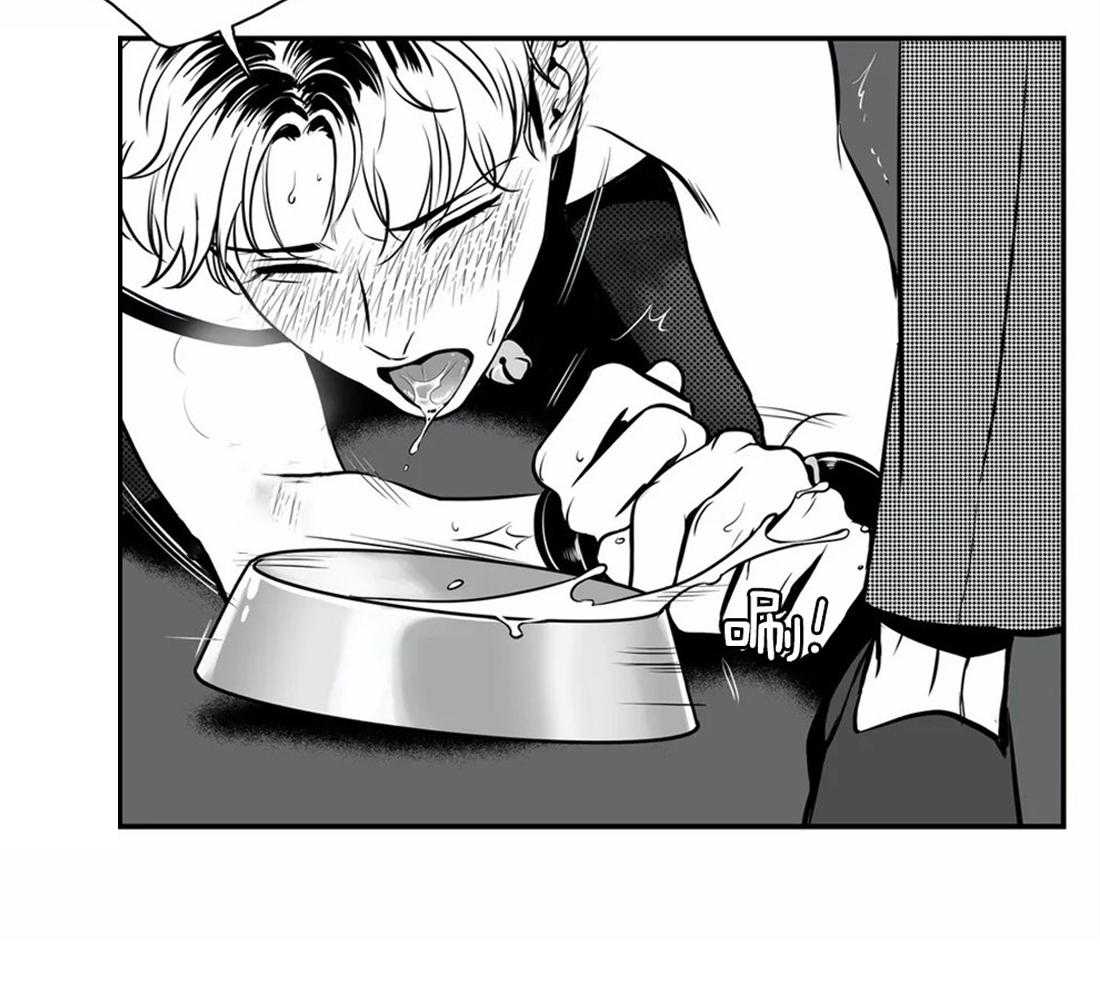 我的主播男友（全集&番外） 第145话 第31页