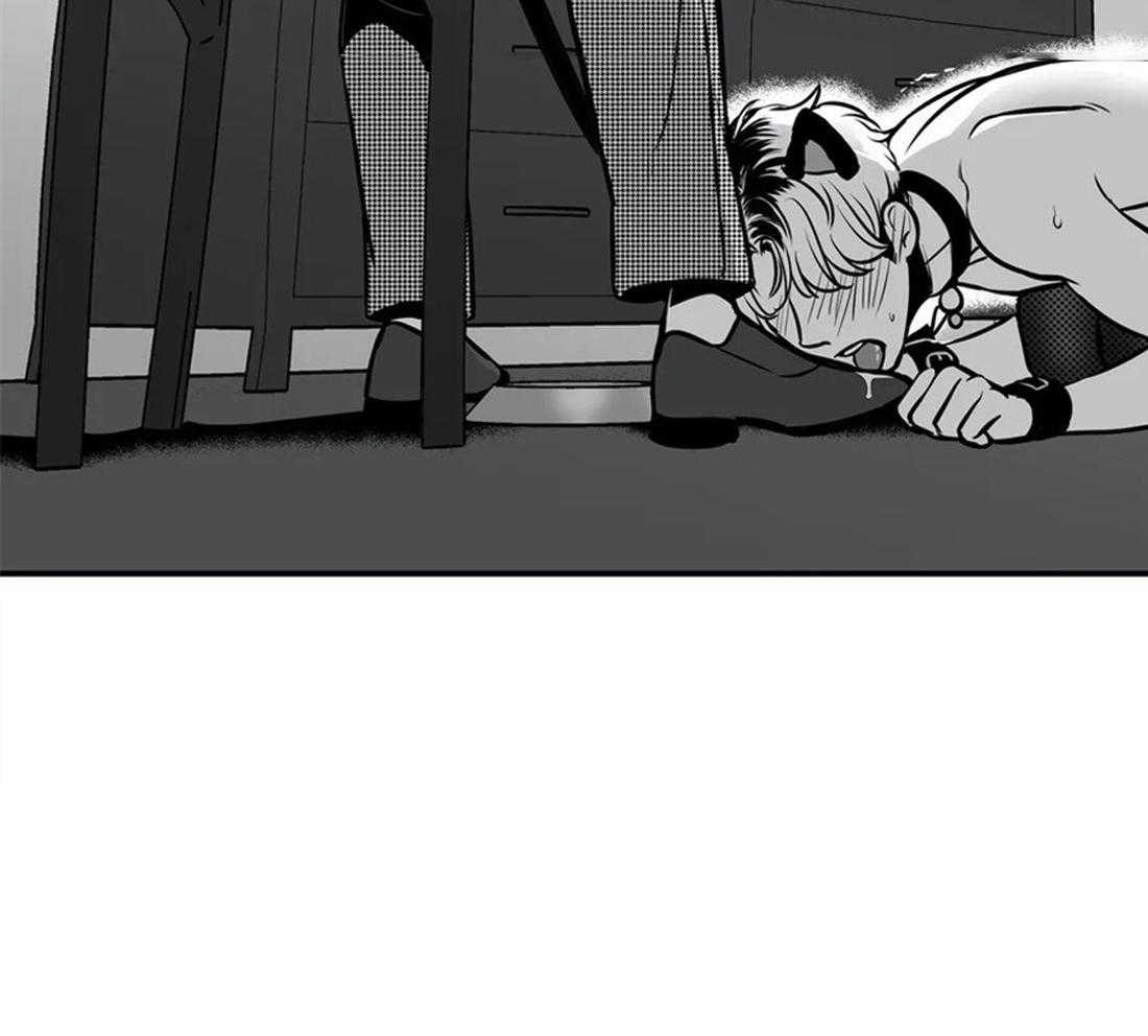 我的主播男友（全集&番外） 第145话 第43页