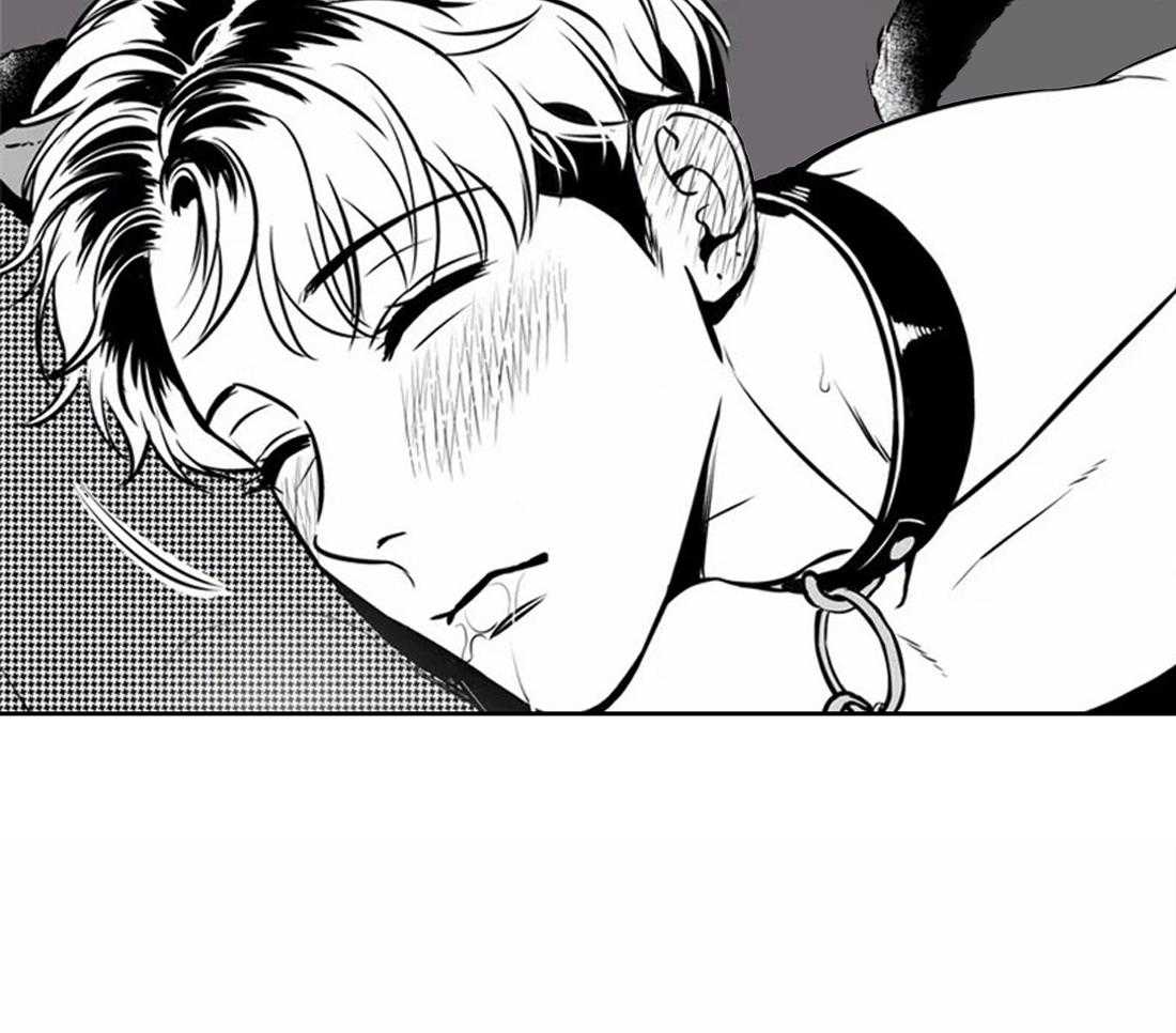 我的主播男友（全集&番外） 第145话 第47页