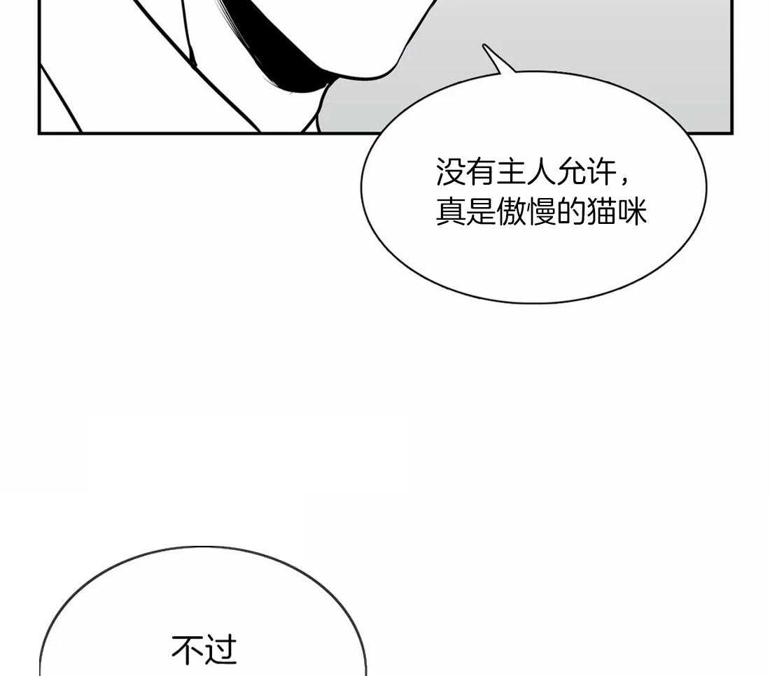 我的主播男友（全集&番外） 第145话 第51页