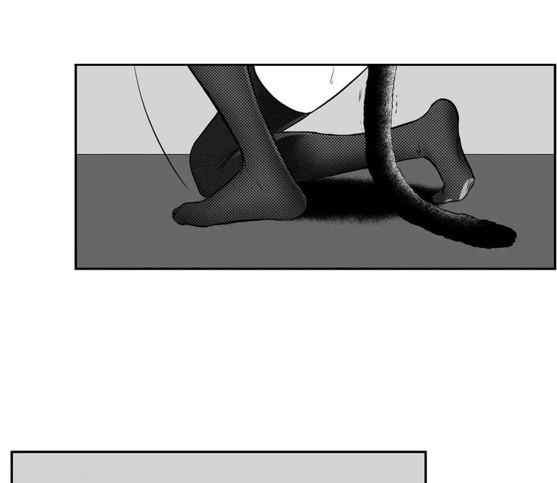 我的主播男友（全集&番外） 第146话 第10页