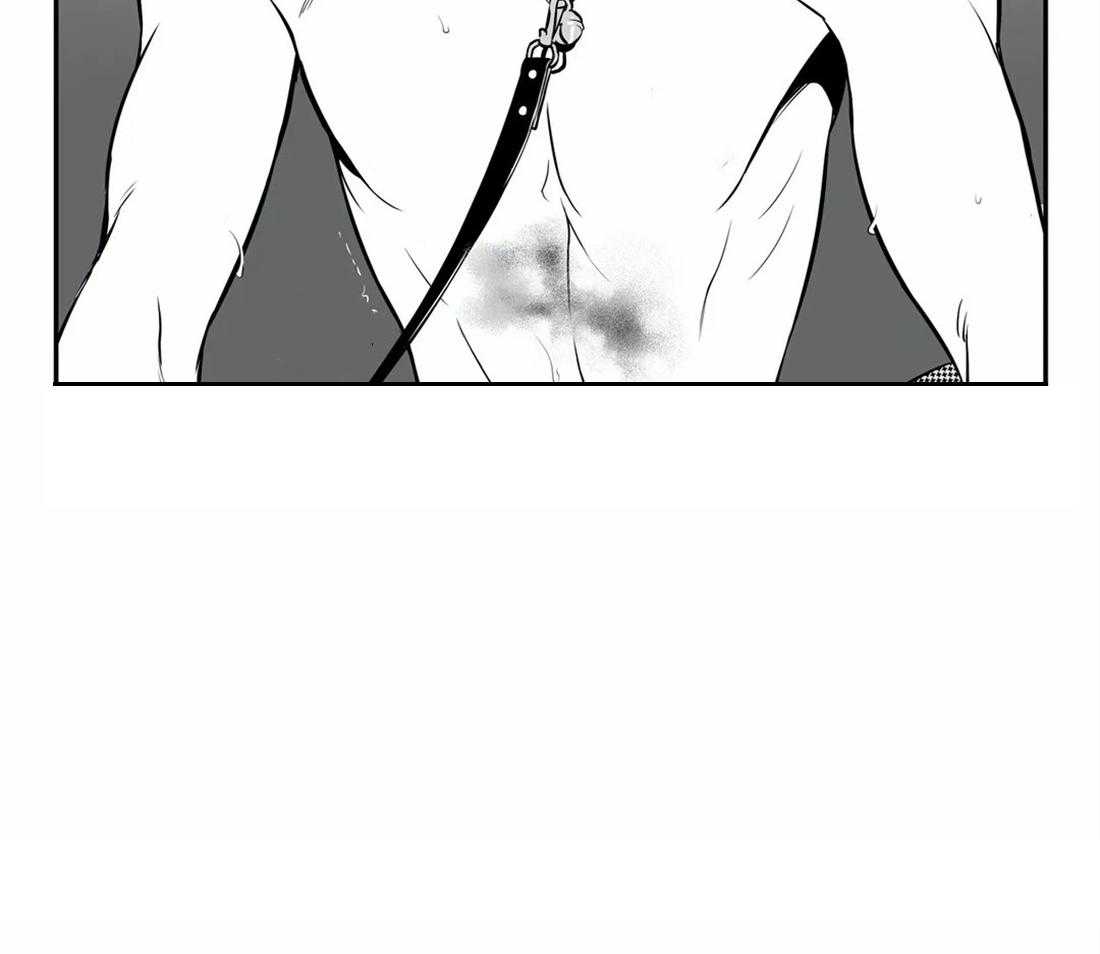 我的主播男友（全集&番外） 第146话 第17页