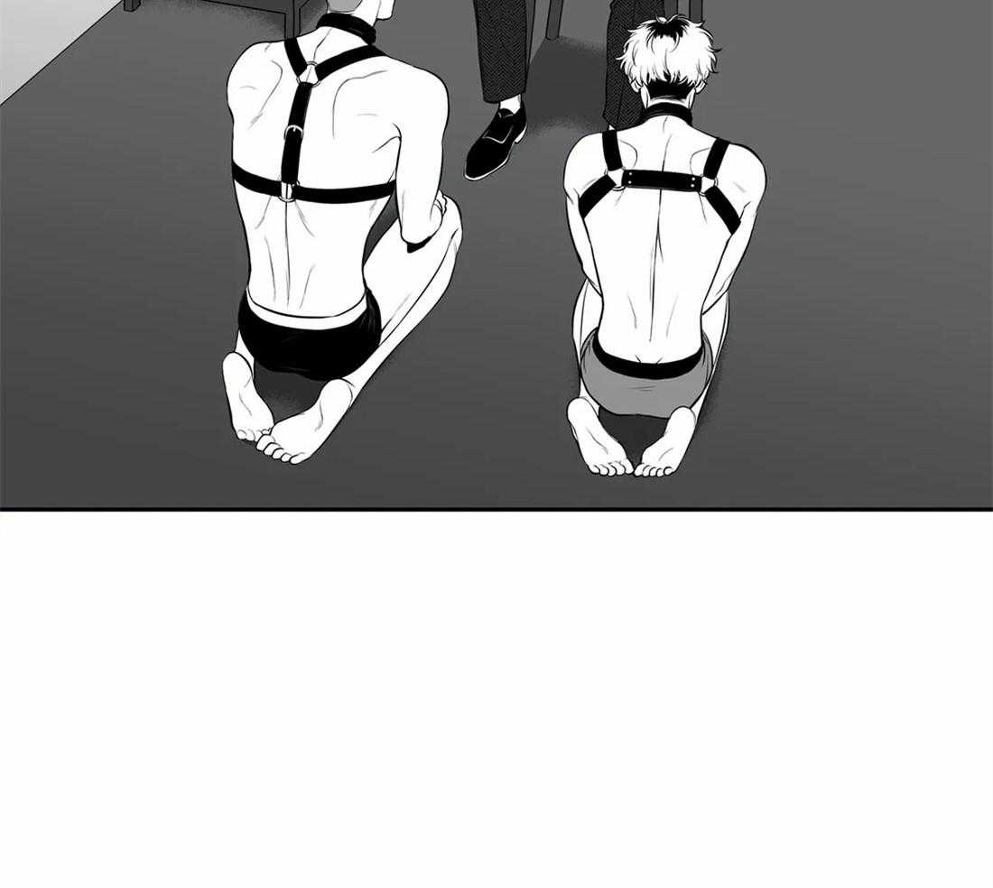 我的主播男友（全集&番外） 第157话 第9页