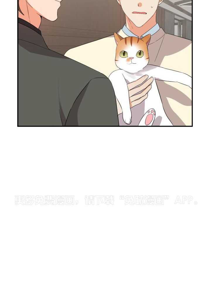 我该死的XXX第115话图