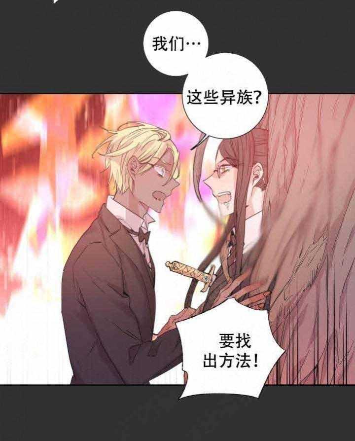 巫师与狼（全集）第108话图