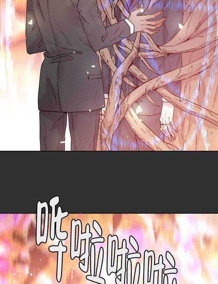 巫师与狼（全集）第108话图