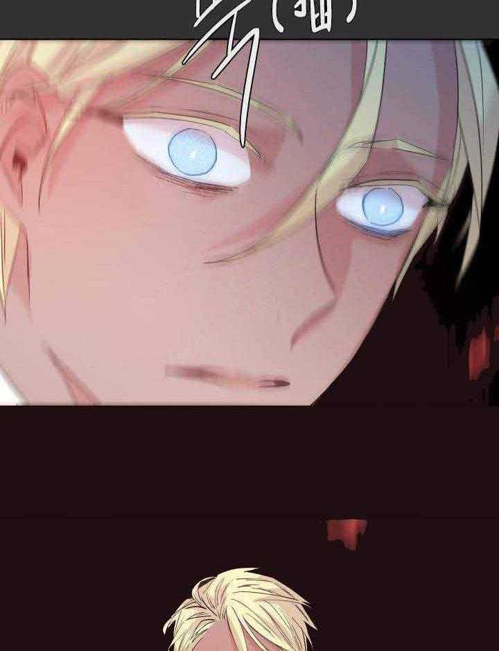 巫师与狼（全集）第108话图