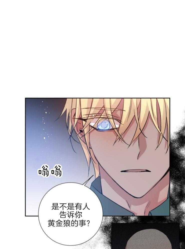 巫师与狼（全集）第117话图