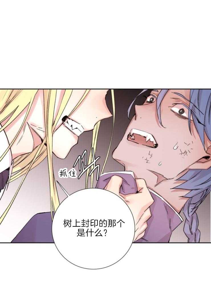 巫师与狼（全集）第120话图