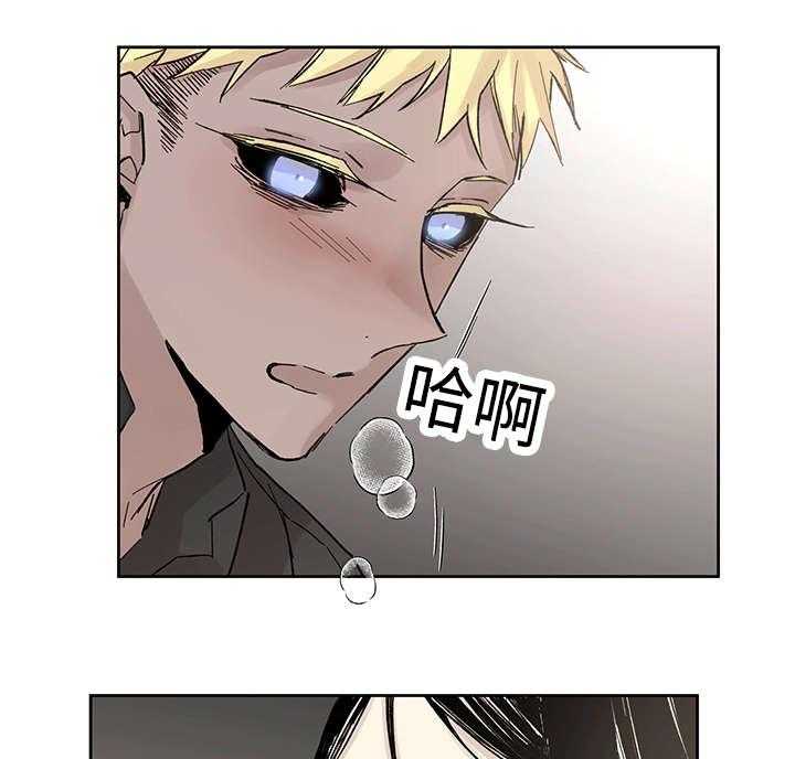 巫师与狼（全集）第17话图